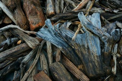 Full frame shot of wooden logs