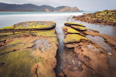 Scenic view of rocks in lake