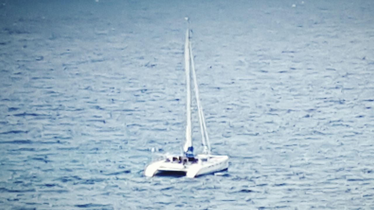 SAILBOAT SAILING IN SEA