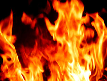 Close-up of fire against black background