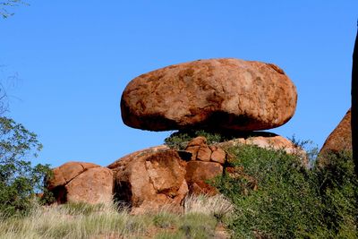 Low angle view of mushrooms on rock against clear blue sky