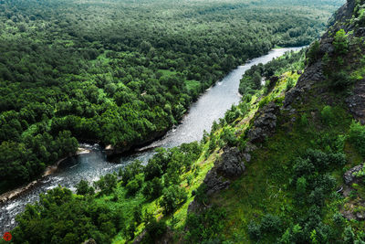 Scenic view of waterfall in forest