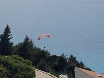 People paragliding in the sea