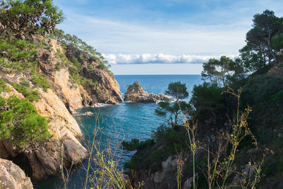 Scenic view of sea against sky