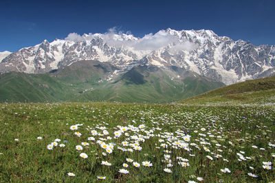 Scenic view of field and mountains against sky