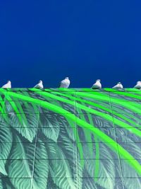 Low angle view of birds perching on blue sky