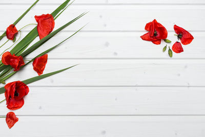 Close-up of red rose on table