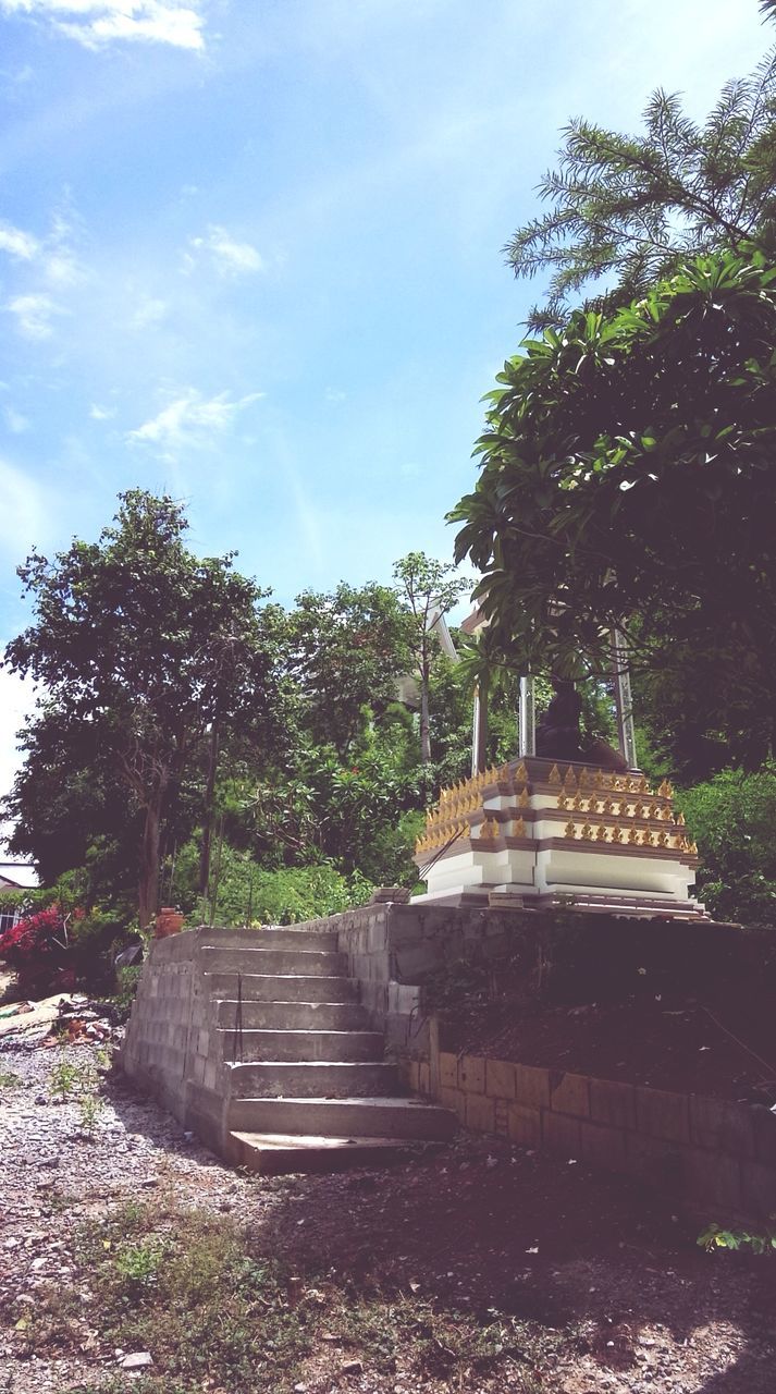 tree, growth, park - man made space, the way forward, tranquility, sky, built structure, nature, footpath, sunlight, green color, steps, plant, tranquil scene, architecture, walkway, day, beauty in nature, outdoors, shadow