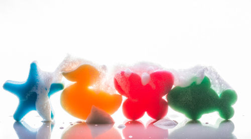 Close-up of food on white background