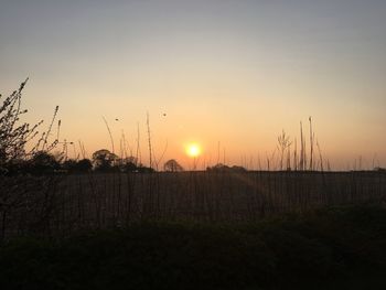 Silhouette field against sky during sunset