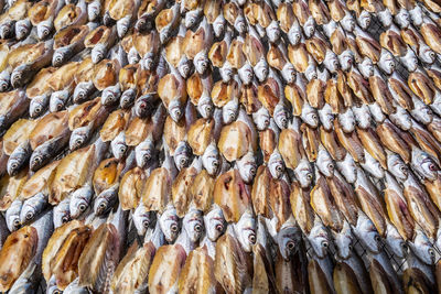 Full frame shot of fish for sale at market