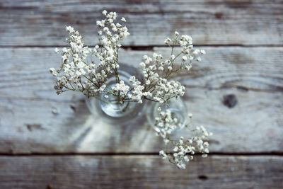 Directly above view of white flowers in vase on table