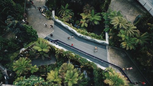 High angle view of road by trees in city