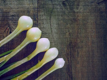 Directly above shot of scallions on table