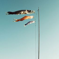 Low angle view of koinobori flags on pole against clear sky