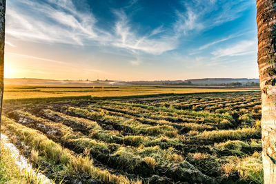 Scenic view of field against sky during sunset