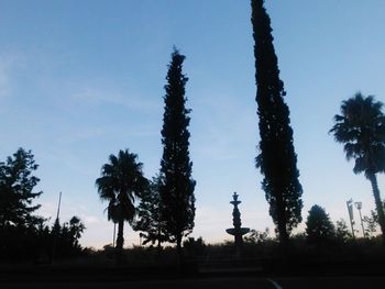 Low angle view of silhouette trees against sky