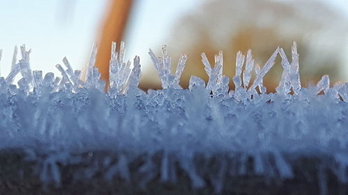 Close-up of frozen water during rainy season