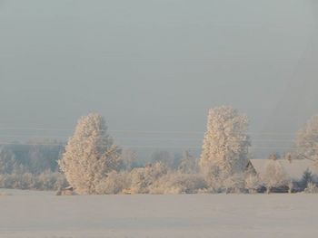 Scenic view of landscape