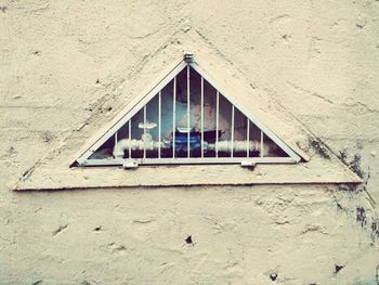 Close-up of cat on window