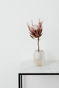 Close-up of vase on table against white background