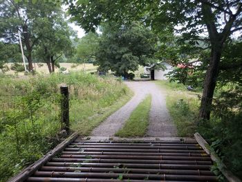 Empty bench by footpath in park