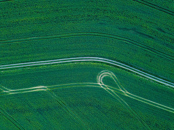 Full frame shot of agricultural field