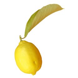 Close-up of lemon against white background