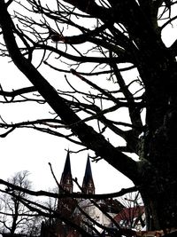 Low angle view of silhouette bare tree against sky