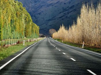 Road in the countryside