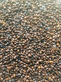 Full frame shot of coffee beans