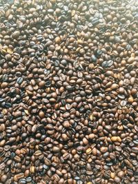 Full frame shot of coffee beans