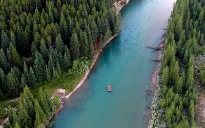 High angle view of boat on lake in forest