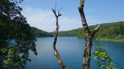 Scenic view of plitvice lakes national park