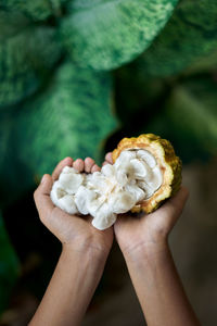 Cropped hands of woman holding fruits outdoors