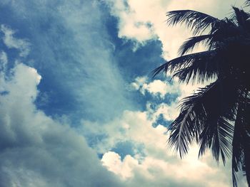 Low angle view of palm trees against blue sky
