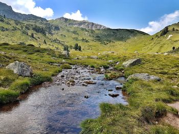 Scenic view of stream against sky