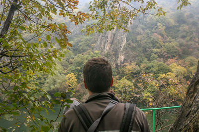 Rear view of man with backpack by tree