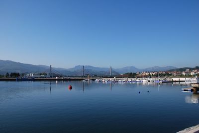 Sailboats in marina