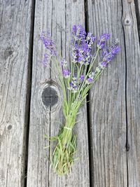 Close-up of purple flowers on wooden plank