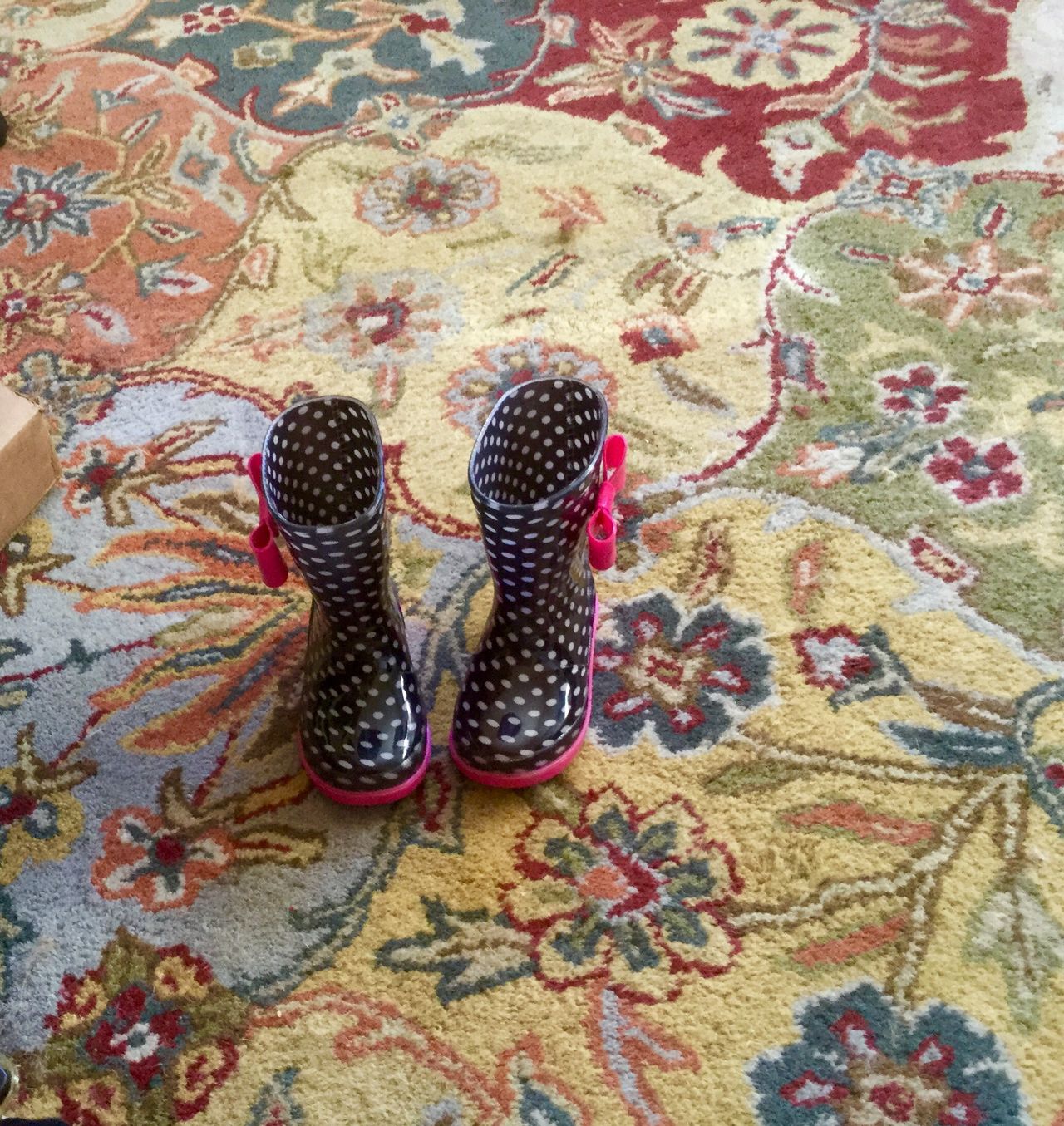 Polka dot rainboots on Indian rug