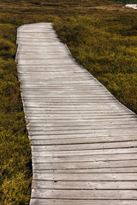 High angle view of boardwalk on field