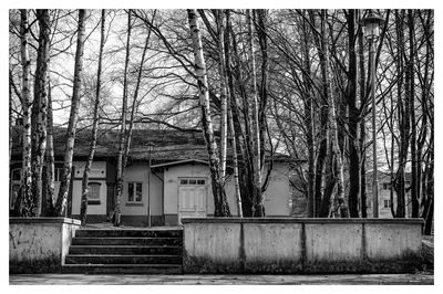 Bare trees against buildings