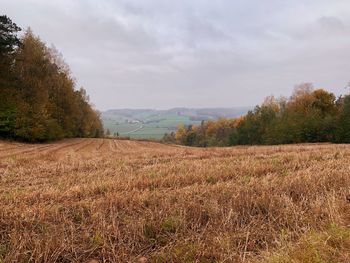 Scenic view of field against sky