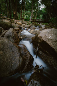 Stream flowing through rocks in forest