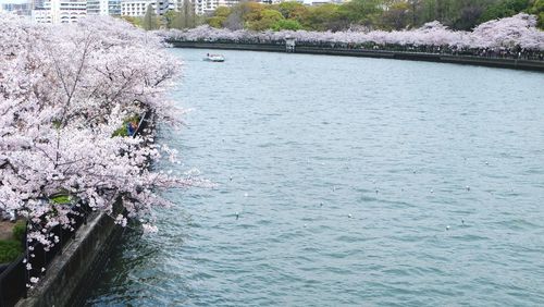 Scenic view of river