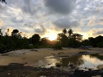 Scenic view of trees against sky during sunset