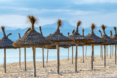 Thatched roof umbrellas on beach against sky