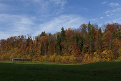 Trees on field against sky during autumn