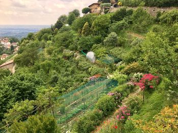 High angle view of plants by sea against sky